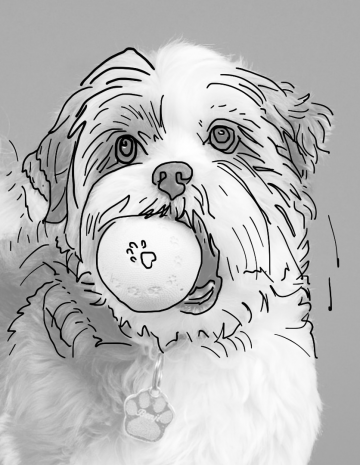 20230406144147085ios