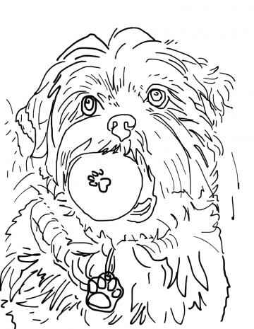 20230406145037747ios