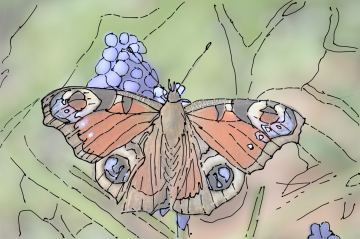 20230802104935603ios