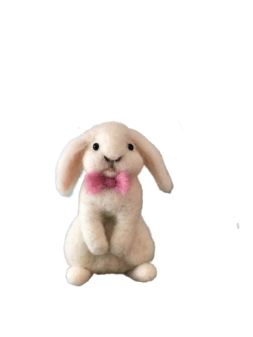 Img1635 removebg preview