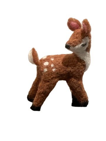 Img2050 removebg preview