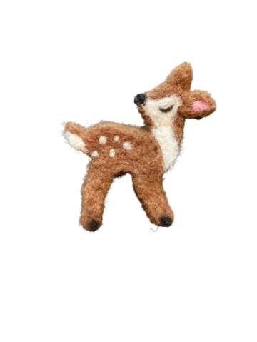 Img2051 removebg preview