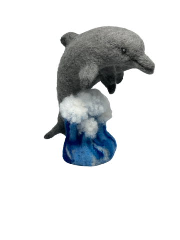 Img2347 removebg preview