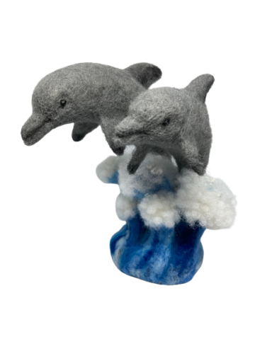 Img2350 removebg preview