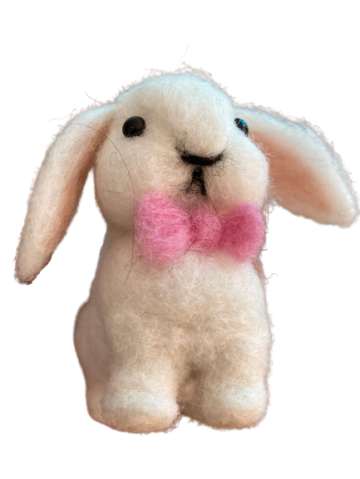 Img2703 removebg preview