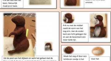 Voorbeeld beschrijving eekhoorn knipje