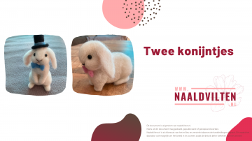 Voorblad twee konijntjes