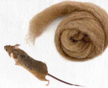 Wow carded wool mouse 14472763572267cc3bf2ba 18e3 4c0a 8f50 8830522e5096