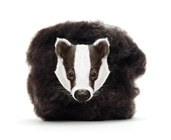 De naaldhak wolvertem new arrivals