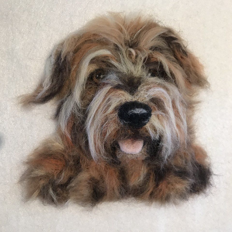 portret naaldvilten hond